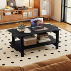 2-Tier Coffee Table with Open Storage Shelf, Irregular Design