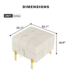 TUYOHW 22 Anti-Scratch Leather Storage Ottoman,Pet Friendly End of Bed Bench with Golden Metal Legs,Ottoman for Living Room,Bedroom,Entryway