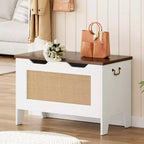 Storage Chest, 30 Rattan Storage Bench with Safety Hinge, Flip Top Blanket Chest Trunks, Supports 350 Lb, for Entryway, Living Room, Bedroom