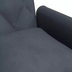 vidaXL Sleeper Sofa with Armrests Velvet Couch Sofa Bed Recliner Loveseat