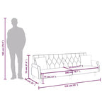 vidaXL Sleeper Sofa with Armrests Velvet Couch Sofa Bed Recliner Loveseat
