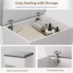 10-Drawer Vanity Desk with Mirror, Walnut Finish with 10 Shelves and Stool, for Bedroom, Easy Assembly